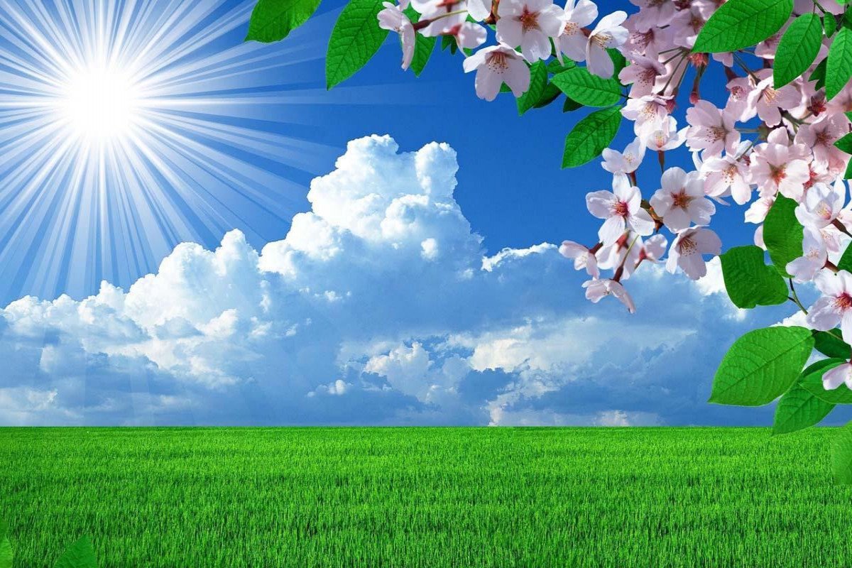 Mayda hava iqlim normasına yaxın, bəzi yerlərdə yüksək olacaq - AYLIQ PROQNOZ