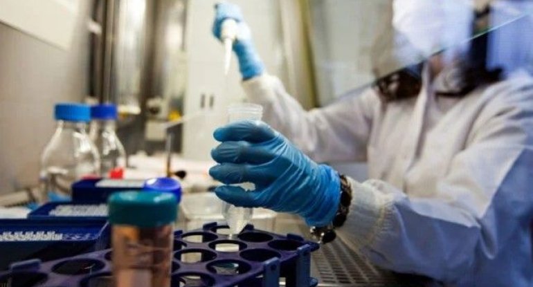 Ölümcül “göbələk epidemiyası” riski artır - XƏBƏRDARLIQ