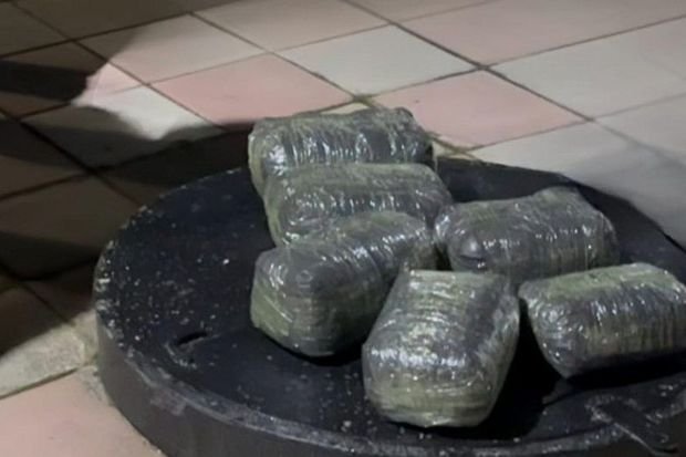 Ötən gün Azərbaycanda 20 kiloqram narkotik aşkarlanıb