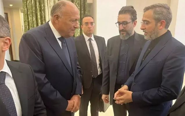 Sameh Şukri İrana səfər edib