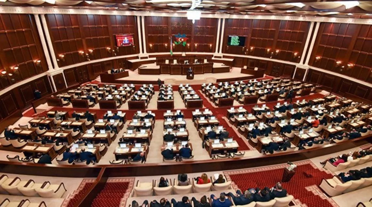 Milli Məclis amnistiyaya düşəcək psixi pozuntuya malik şəxslərlə bağlı qərar verdi